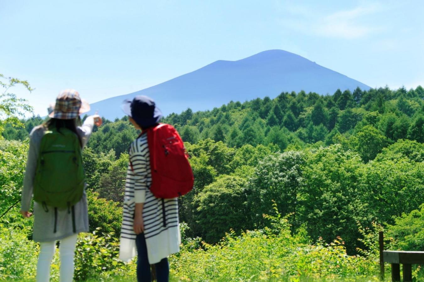 Ana Holiday Inn Resort Karuizawa By Ihg Kitakaruizawa Екстер'єр фото